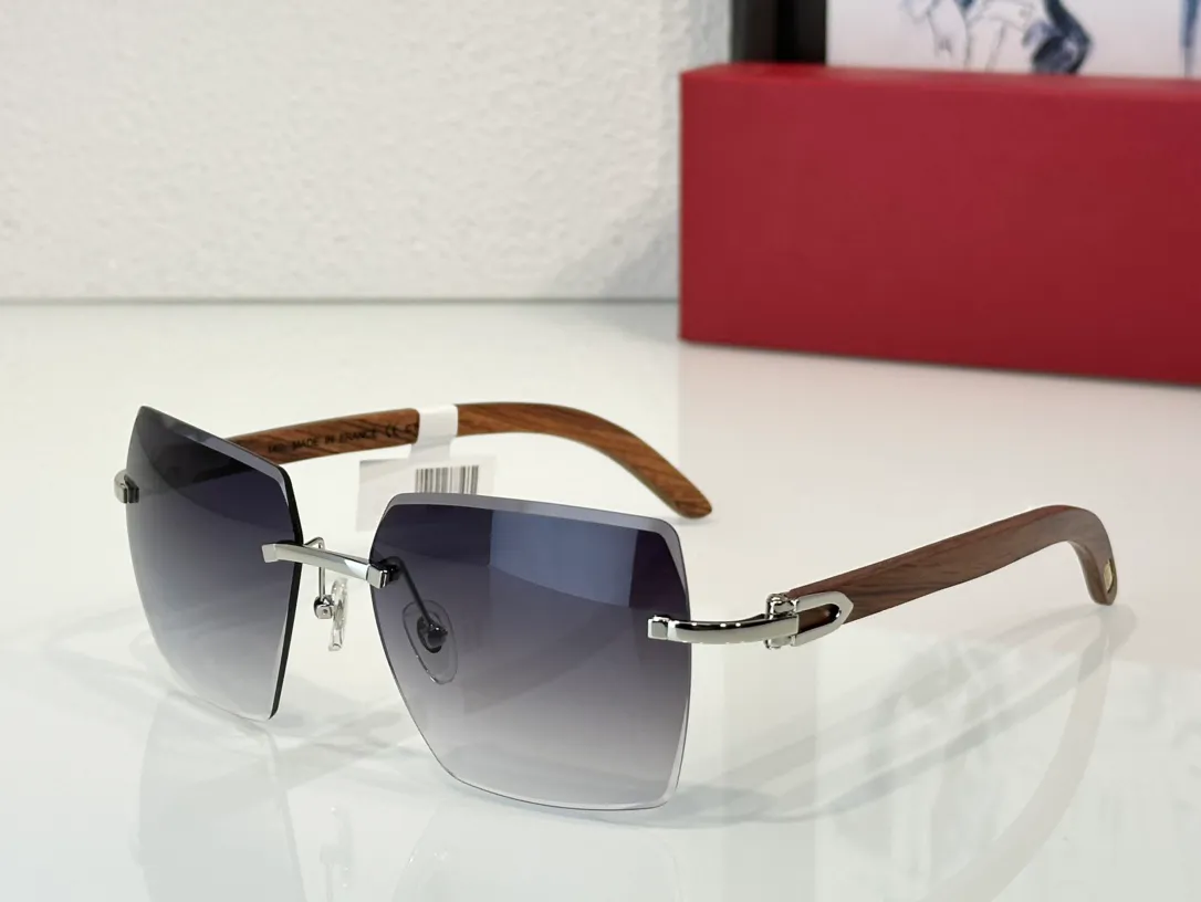 SANTOS DUMONT Frameless Metal Rectangle Sunglasses For Men  display picture 1