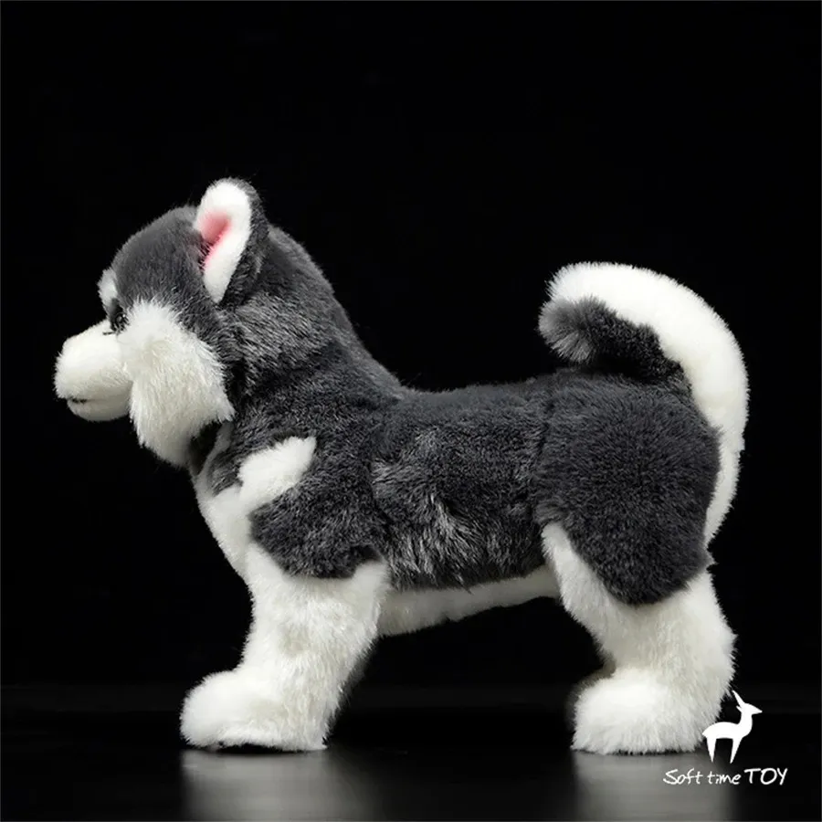 Malamute plush deals