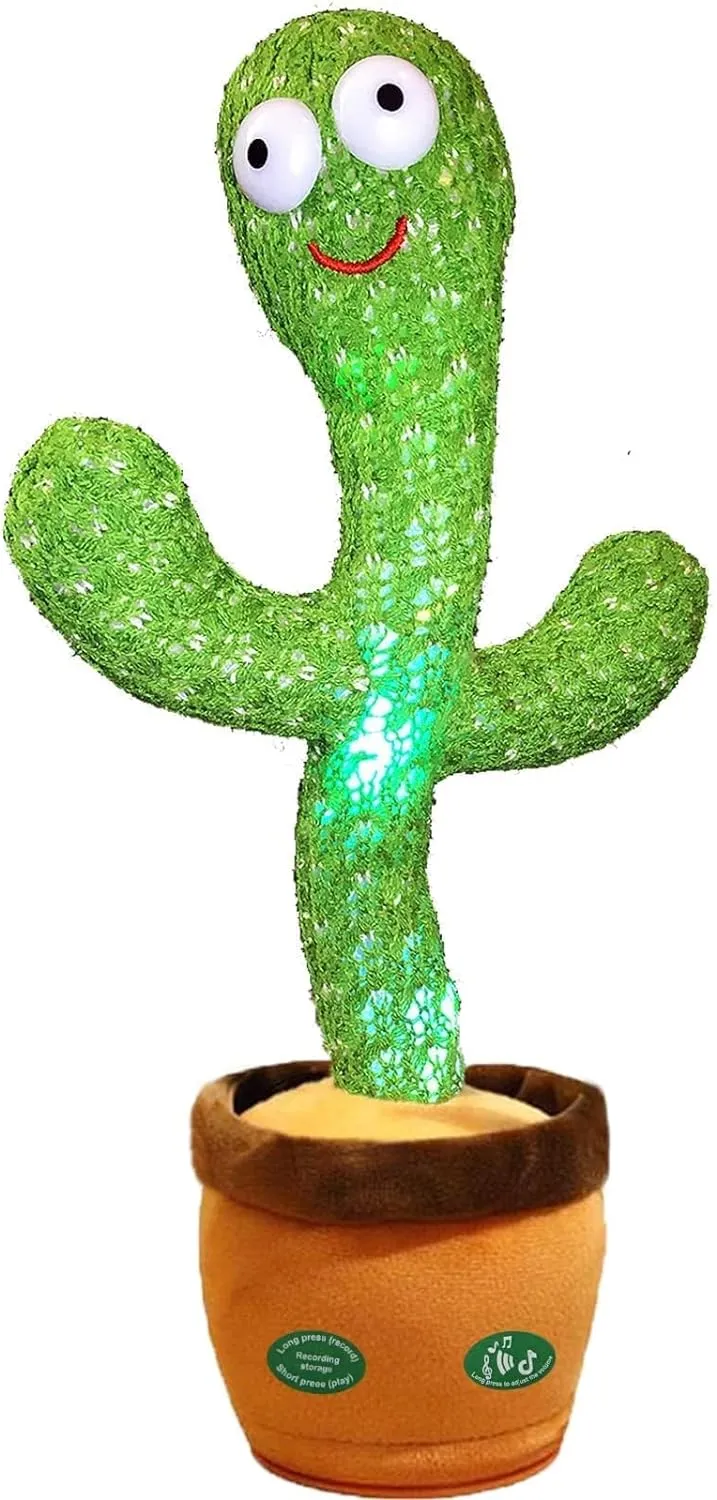 namen für einen kaktus Sonnenblende mit Namen Kaktus Heilig main image 1