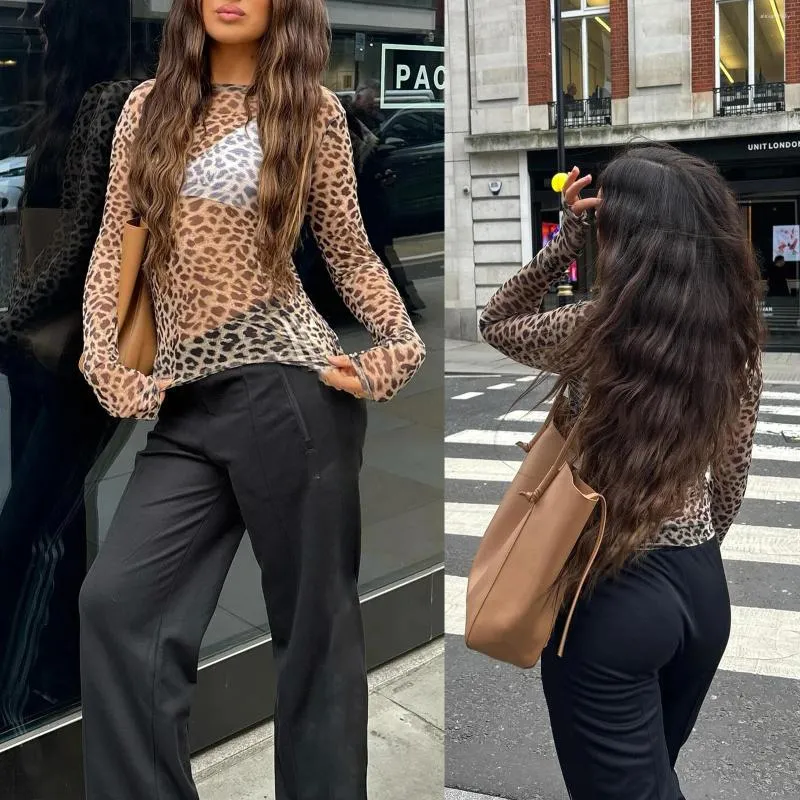 sheer leopard print long sleeve top