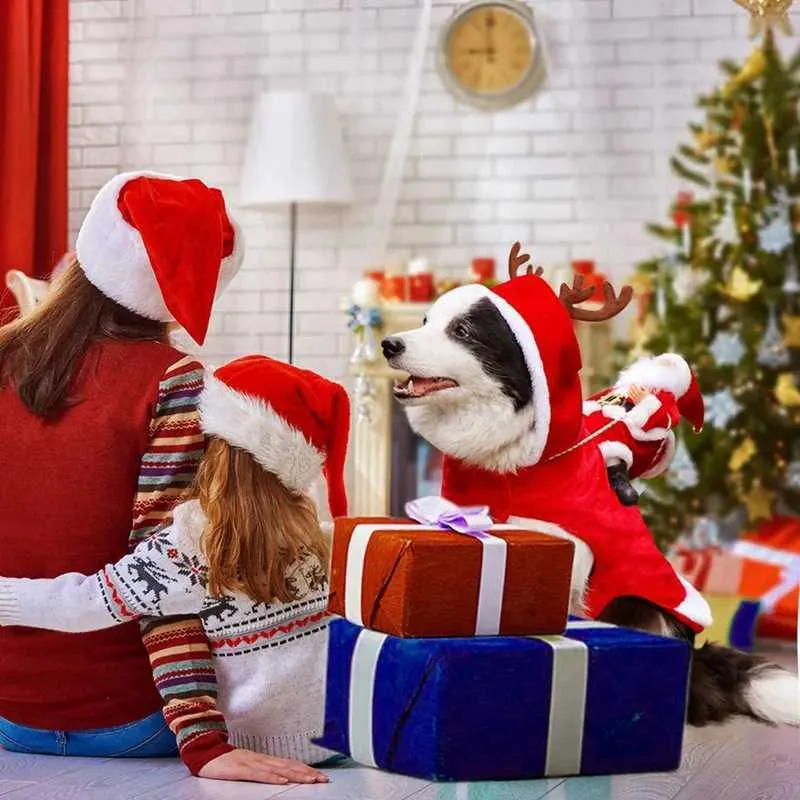 Vêtements de noël new arrivals