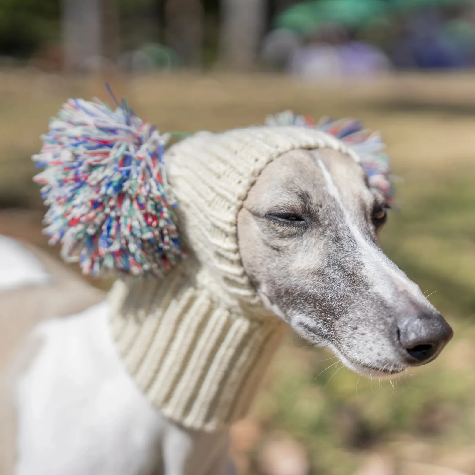 Beige Italian Greyhound Winter Hat with Fur Pom Polyester Dog Hat for  Small Medium Breeds
