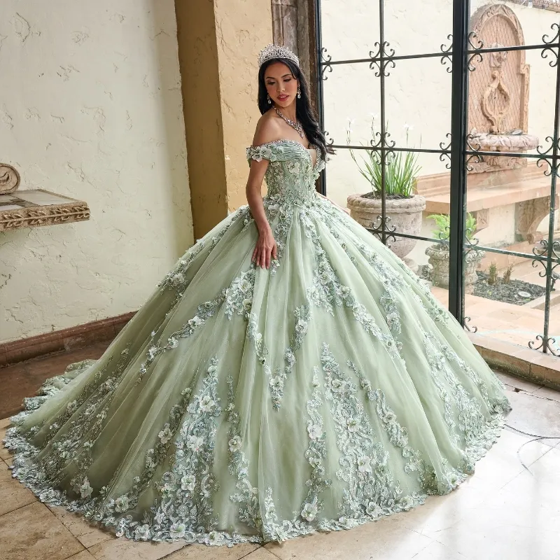 sage green dress for quince 3D Flower Sage Green Quince Dresses Off Shoulder Sweet 15 Birthday Party US4 / Sage Green