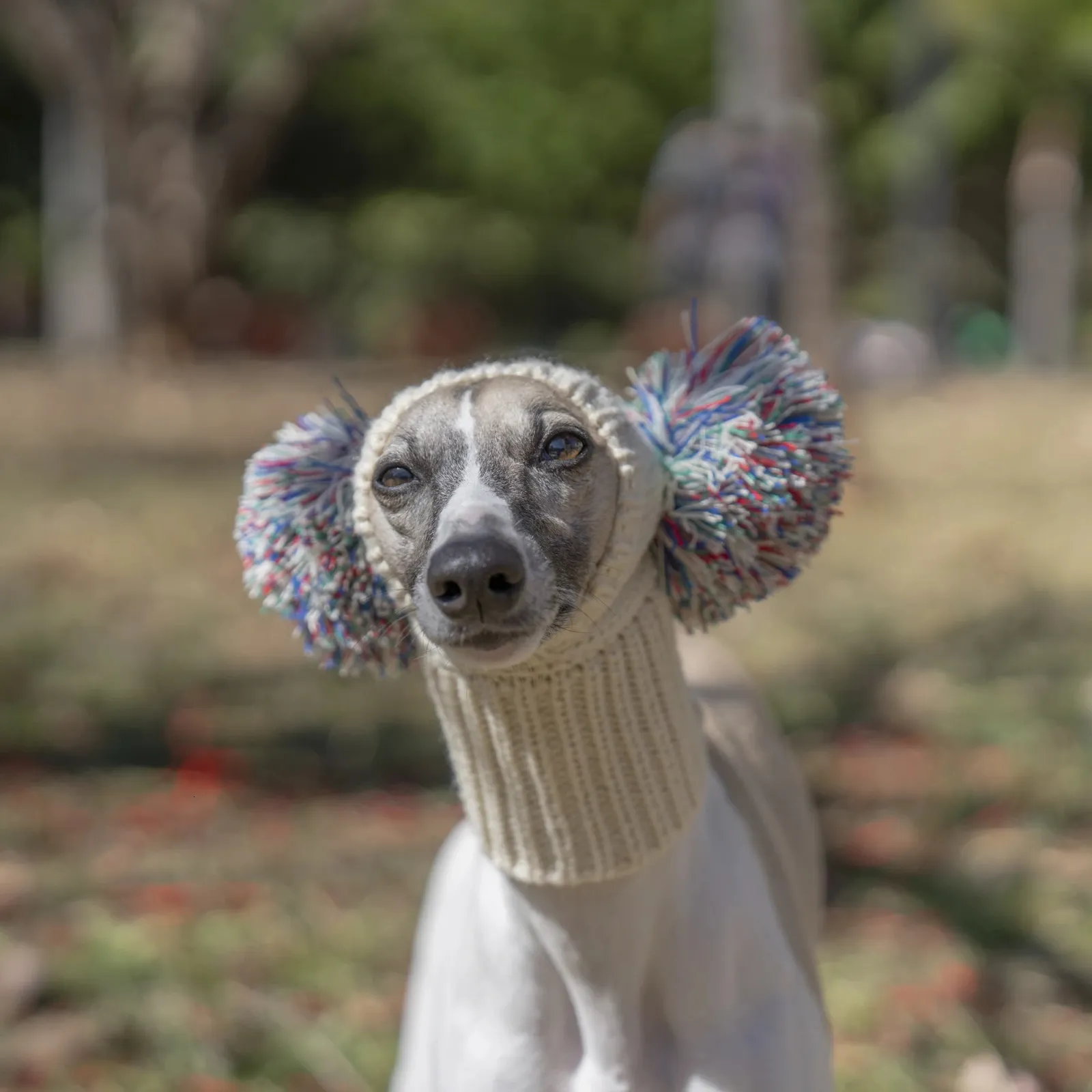 DIZATI Dog Hat For Greyhounds Whippets Cute Handmade Knitted