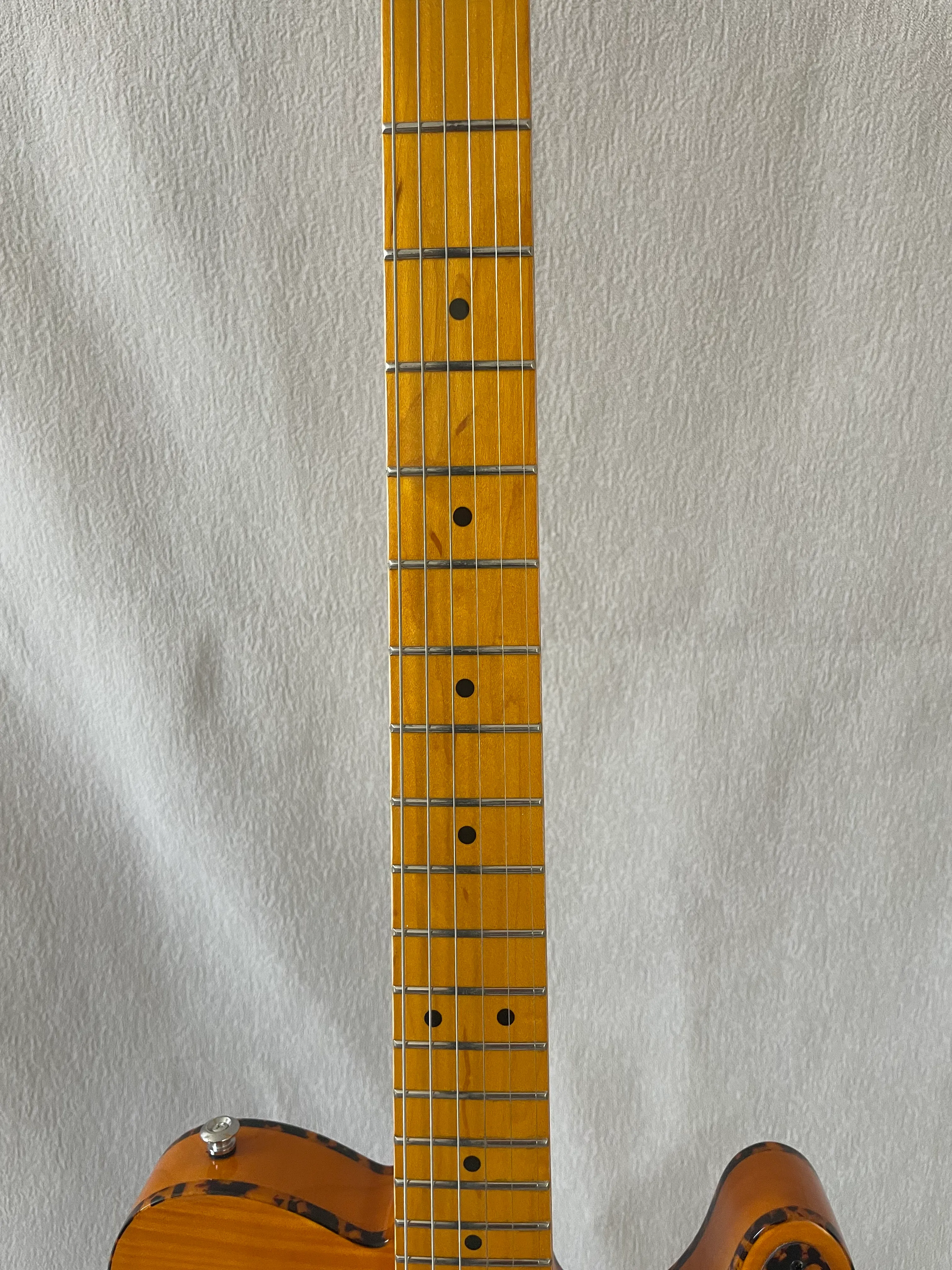 Prince HS Anderson & Hohner Madcat Mad Cat Electric From Yocici