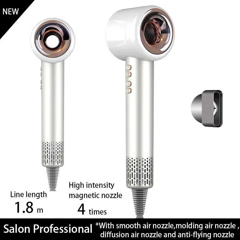 Negative Ion Hair Dryer Leafless 220V Personal Hair Blower  display picture 3