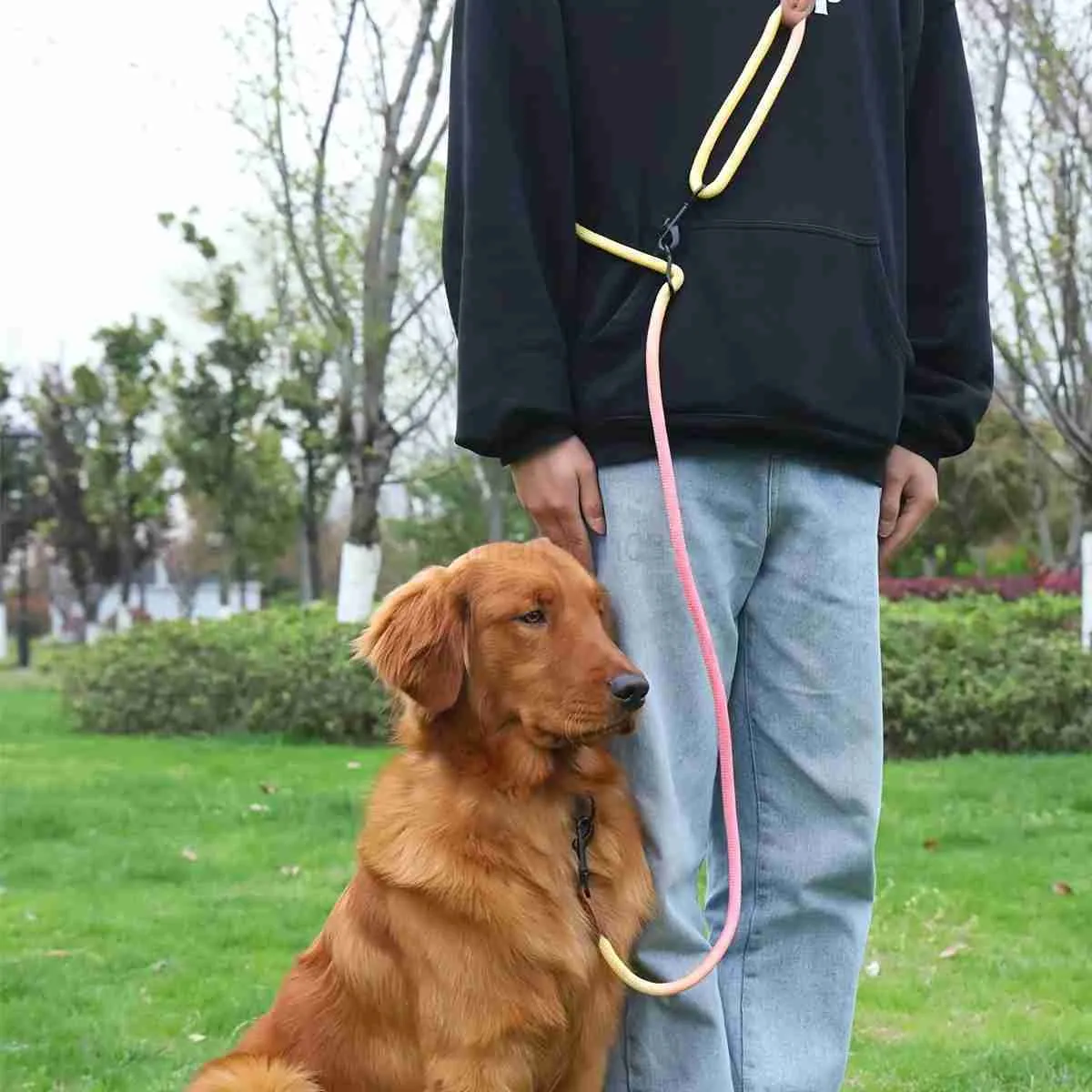 Pull Dog Best Dog Leads For Puppies Dog Training Best Leads For