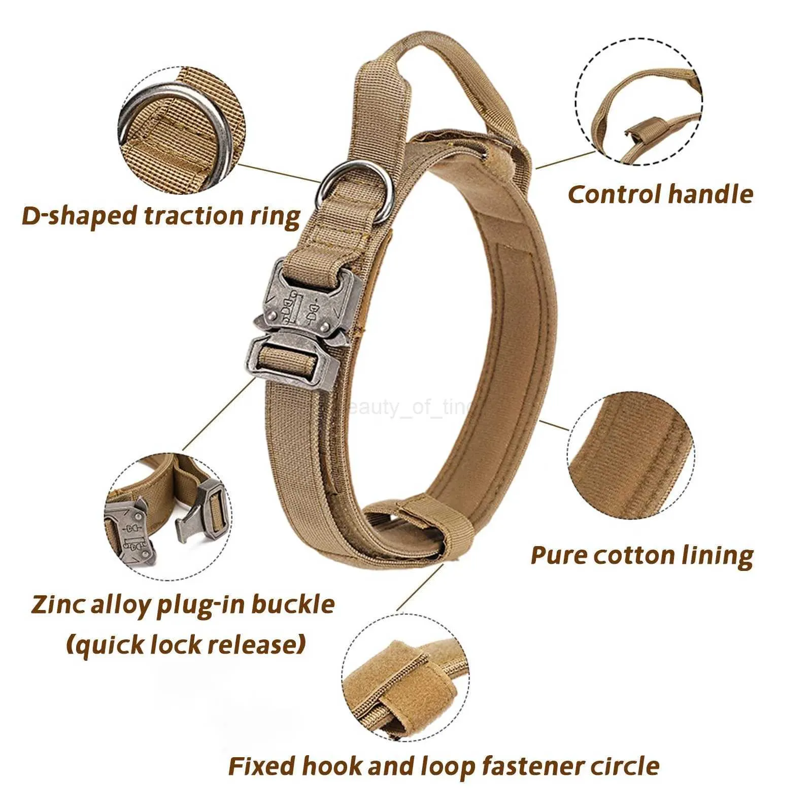 What is a Loop Fastener on a Dog Collar: Ultimate Guide