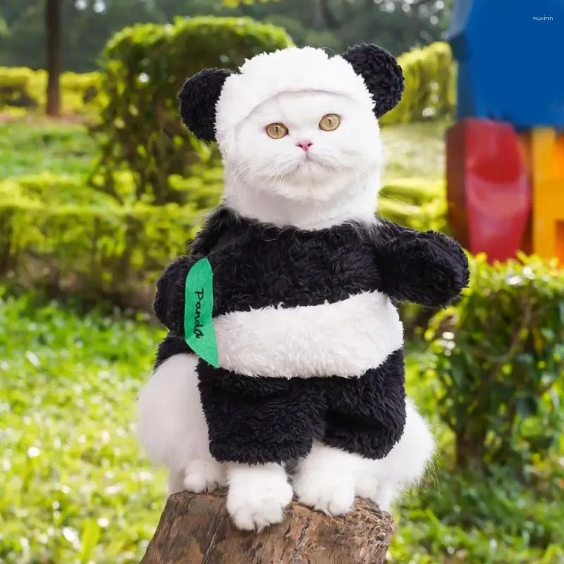 Panda outfit for dog discount