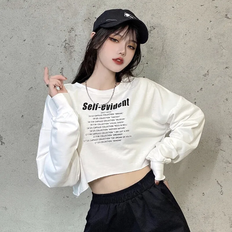Womens Hip Hop Crop Top High Waisted Street Style Tee, Long Sleeve