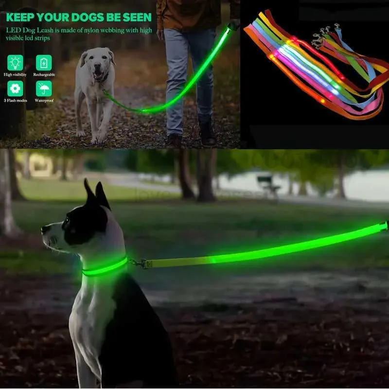 DHgate LED Dog Leash USB Rechargeable Glowing Nylon Webbing Flashing Collar 3 Light Modes for Safe Night Walks Pet Supplies
