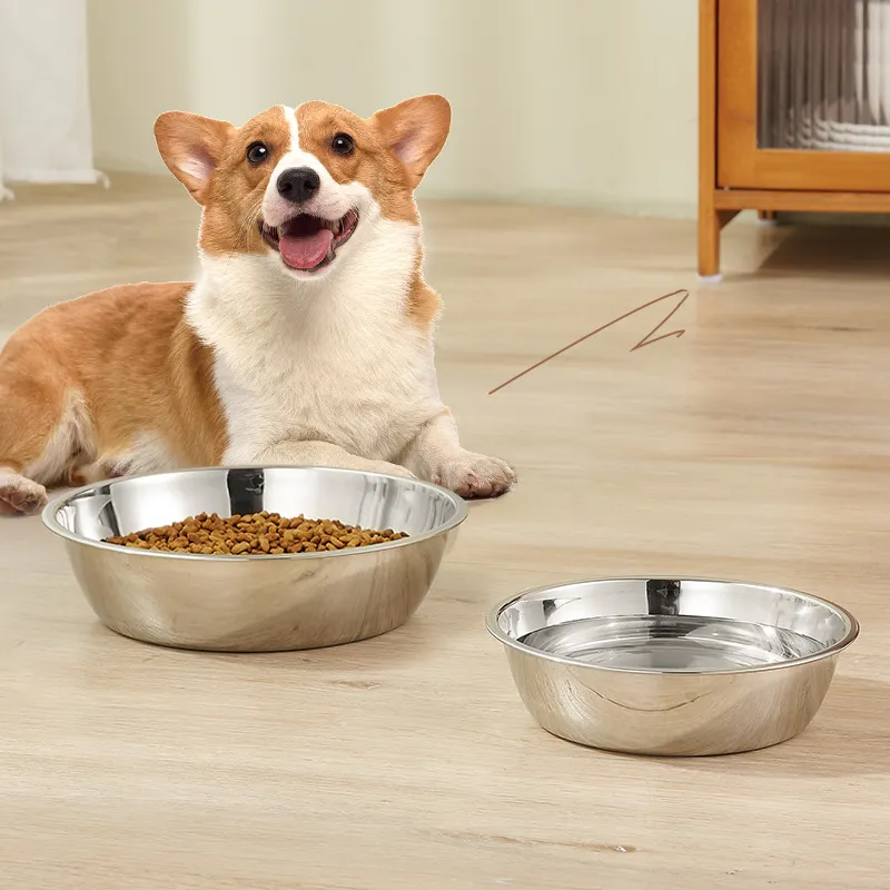 best automatic cat water fountain PawsPik