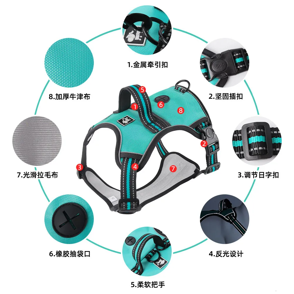 Pure Color Explosion-Proof and Retractable Pet Leash Pure Color Explosion-Proof and Retractable Pet Leash