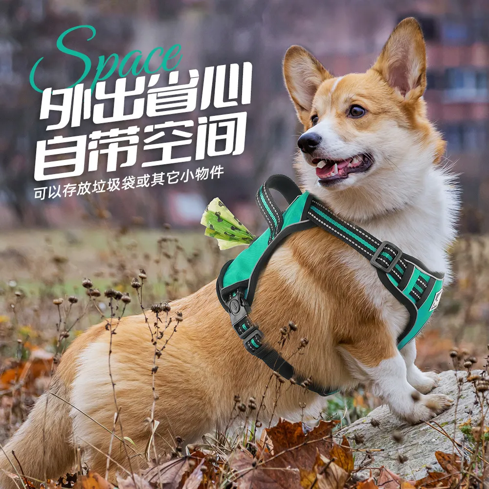 Pure Color Explosion-Proof and Retractable Pet Leash Pure Color Explosion-Proof and Retractable Pet Leash