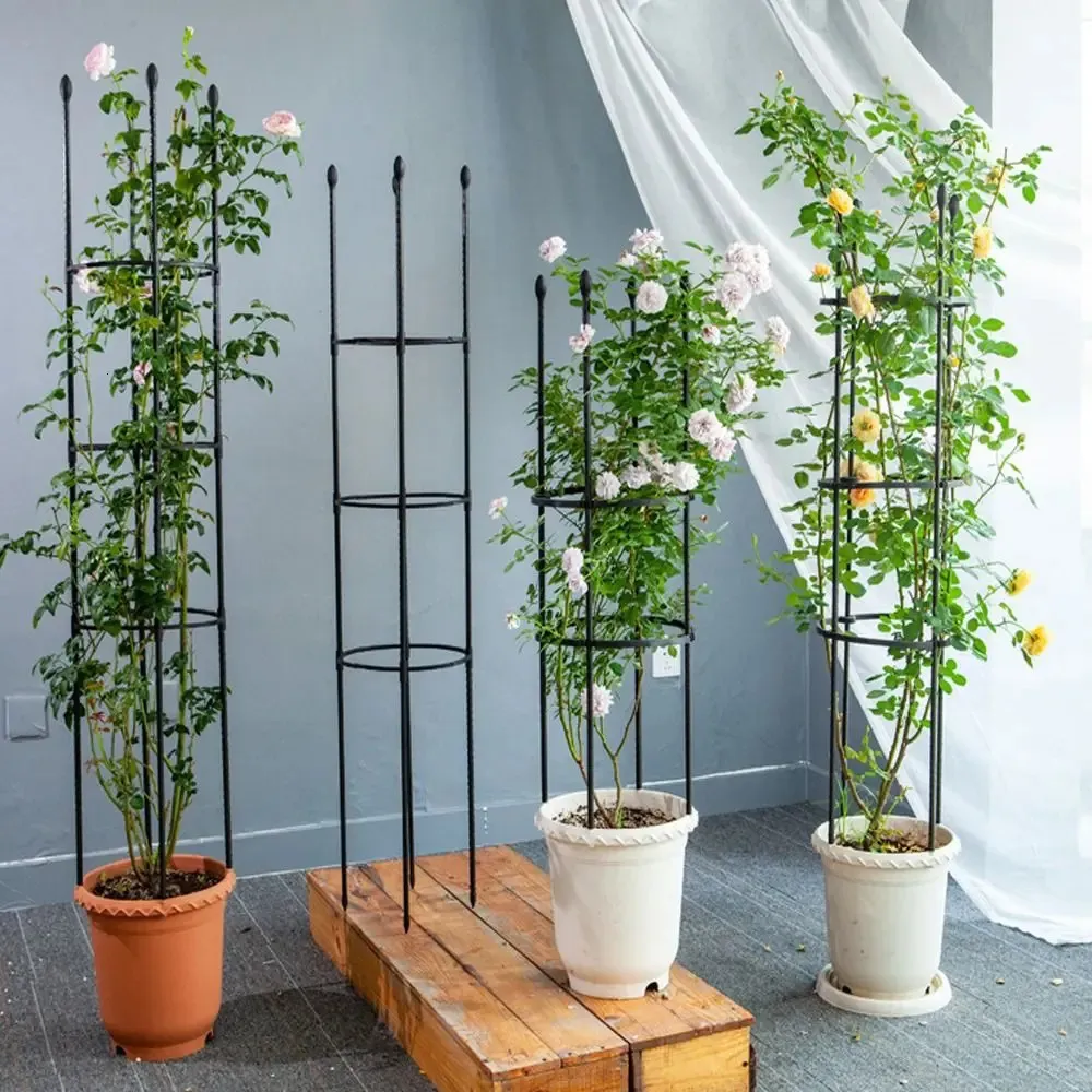 Stackable Metal Garden Trellis for Climbing Plants and Roses Indoor ...