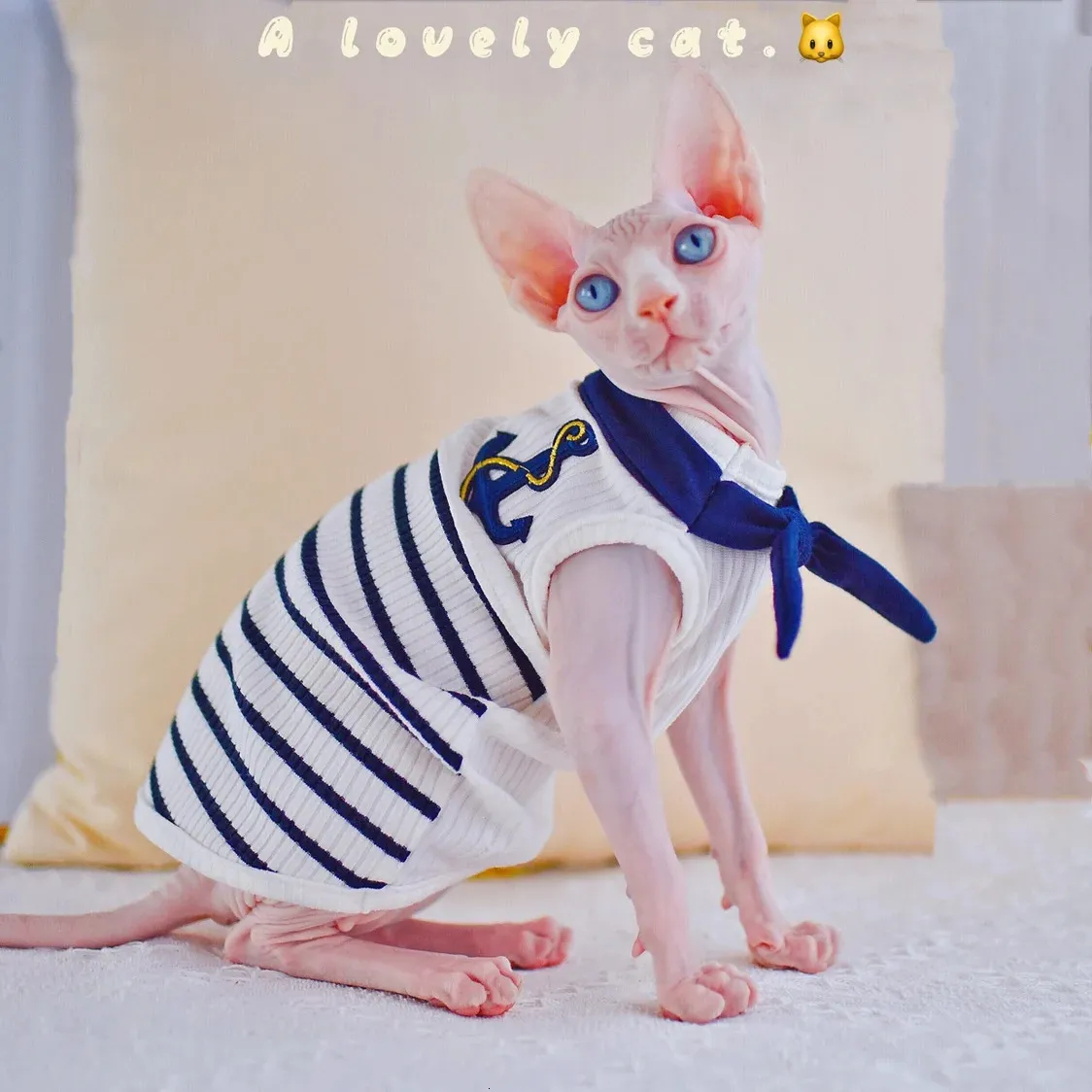 Hairless Cat Clothes Sphynx Cat Shirt, Kitten Sailor Outfit - Main Image