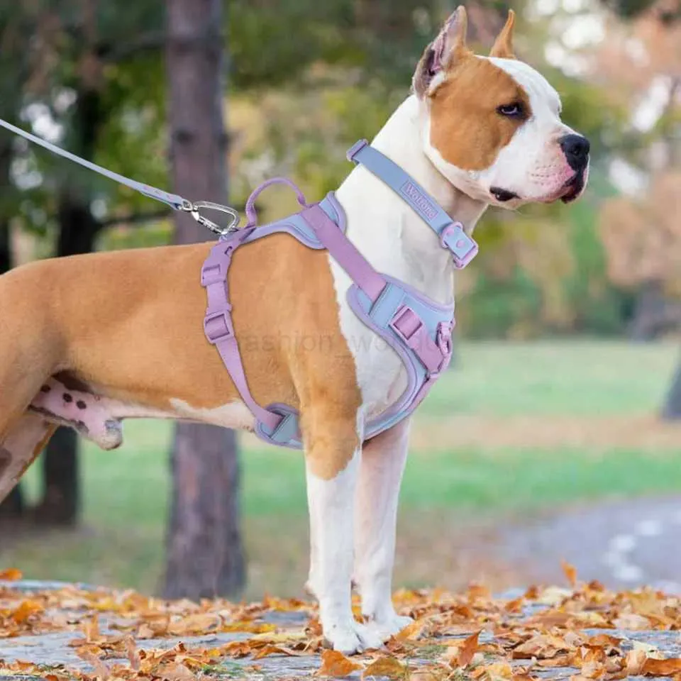 Cozy dog harness online