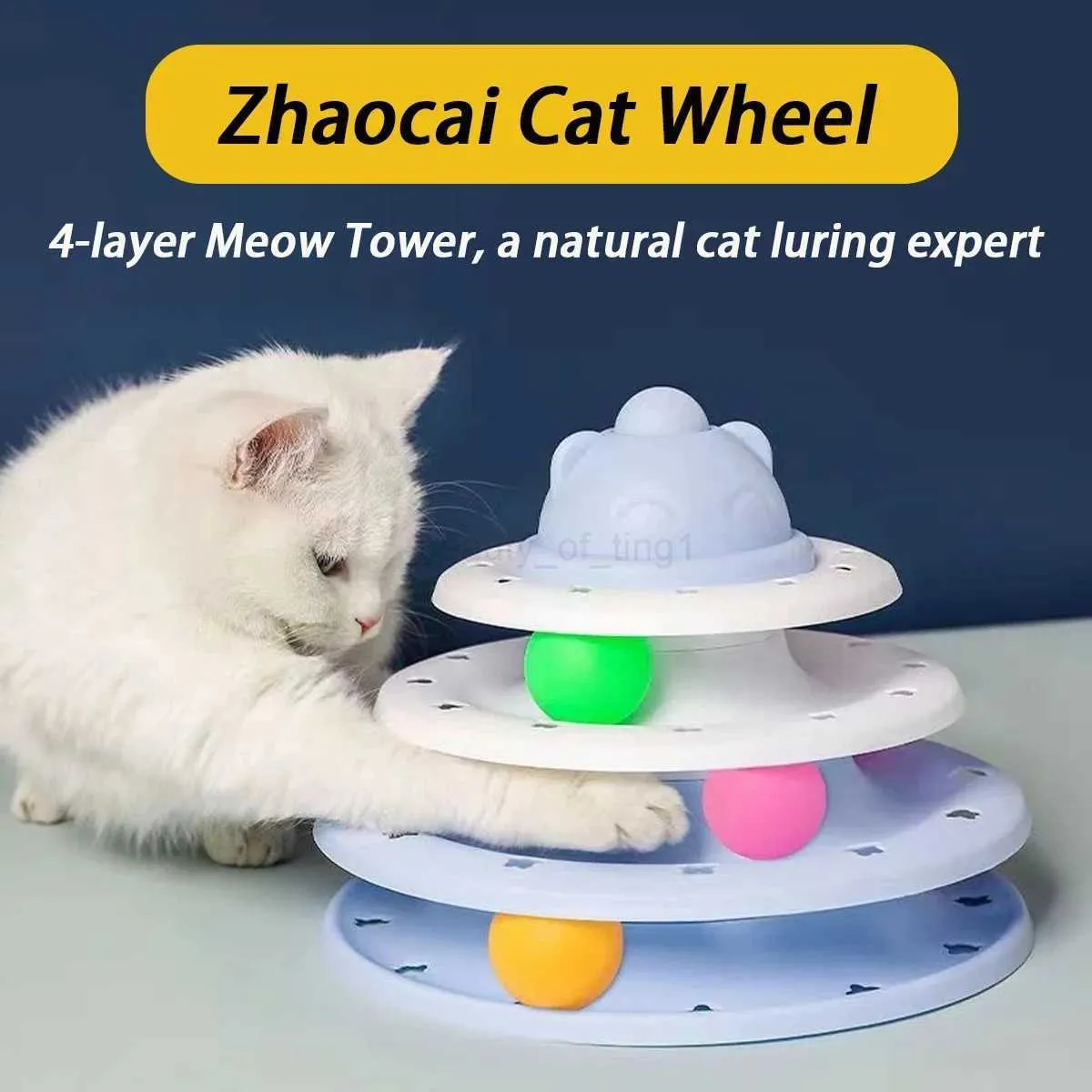 Kitten Cat Wheel Video Cat Wheel And Scratcher Cat Exercise Wheel