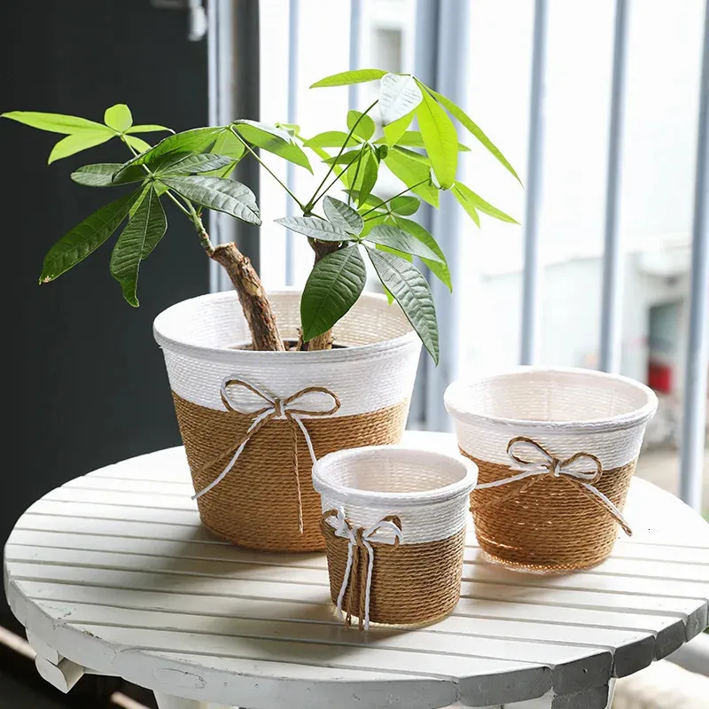 potted house plants types Popular Houseplant 6-pack: Easy Plant Variety Pack  Cute & Unique Plants