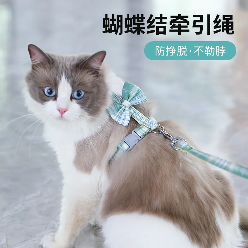 Stunning Summer Cat Harness image