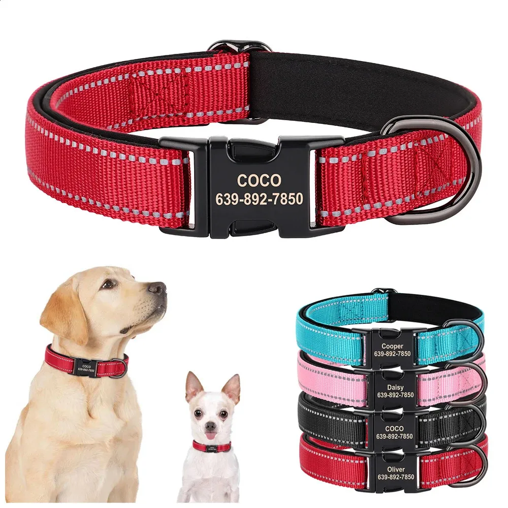 Personalized Nightingale Collar Dog Personalized Martingale Dog