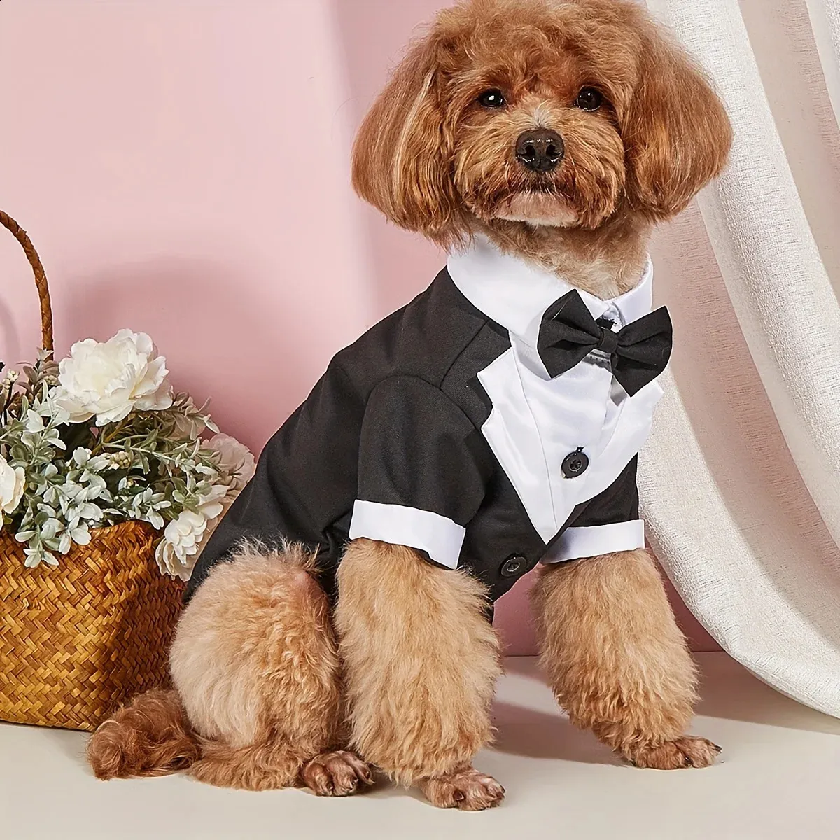 Pet Shirt Small Dog Clothes Wedding Formal Suit With Bow Tie from Dhgate Dog  Apparel Accessories - price 20.11