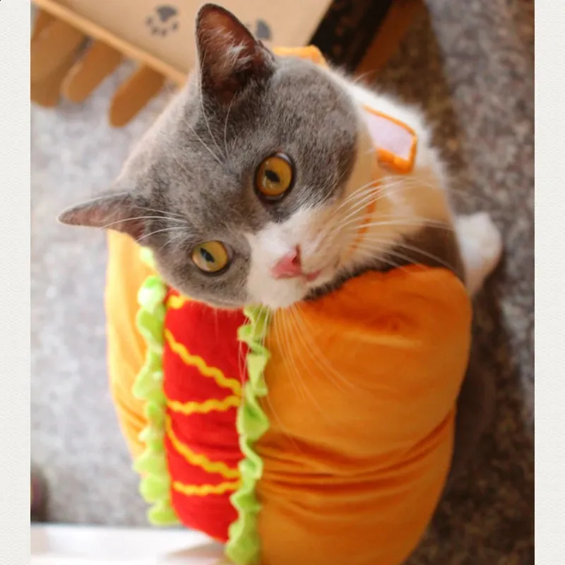 Cat in hot dog costume online