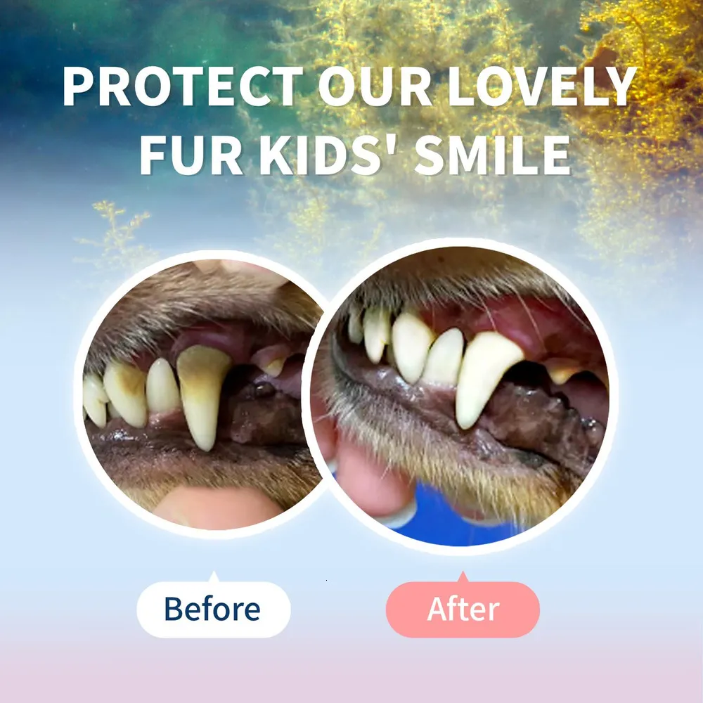Kelp for dogs teeth sale