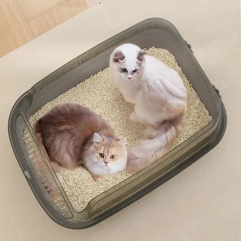 luup cat litter box