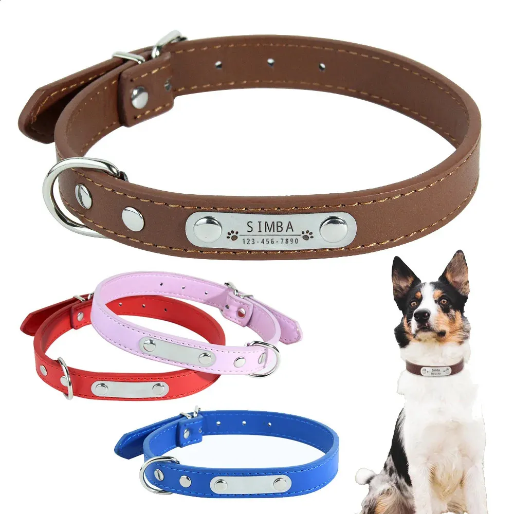 Ytanest Collare Airtag Apple Per Cani, Supporto Luminoso 100 - Foto 9