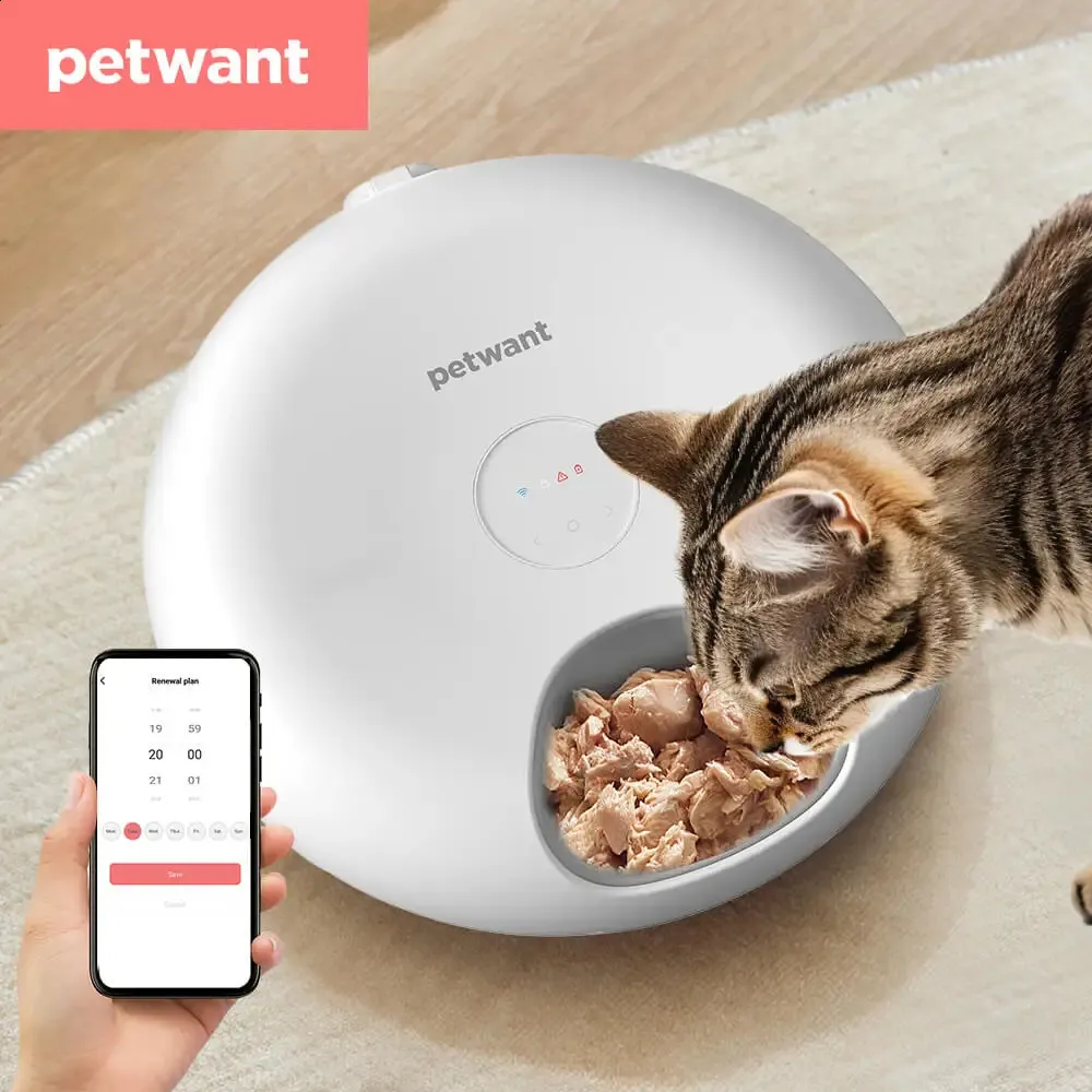Petwant wifi sale