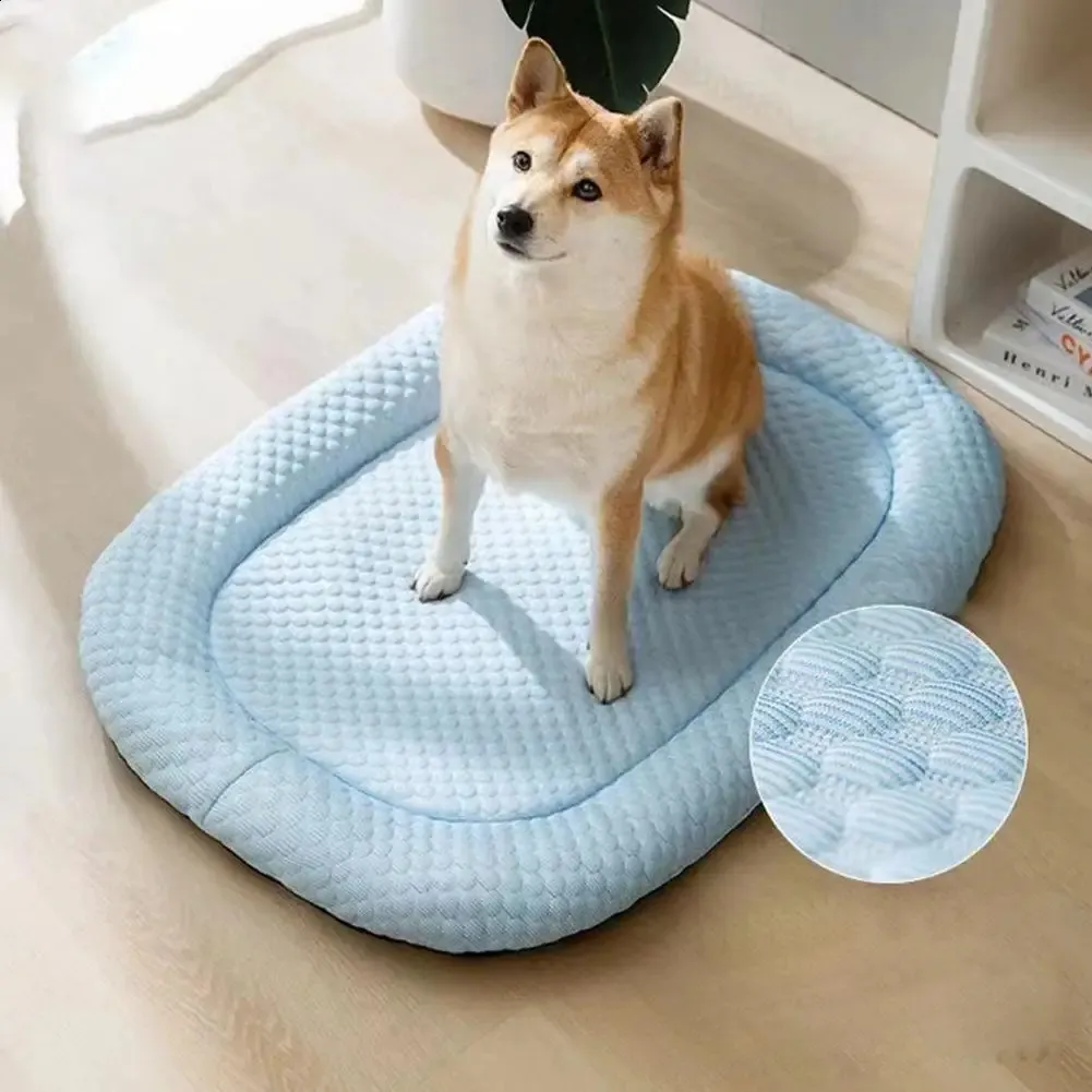 Cooling bed for large dogs online