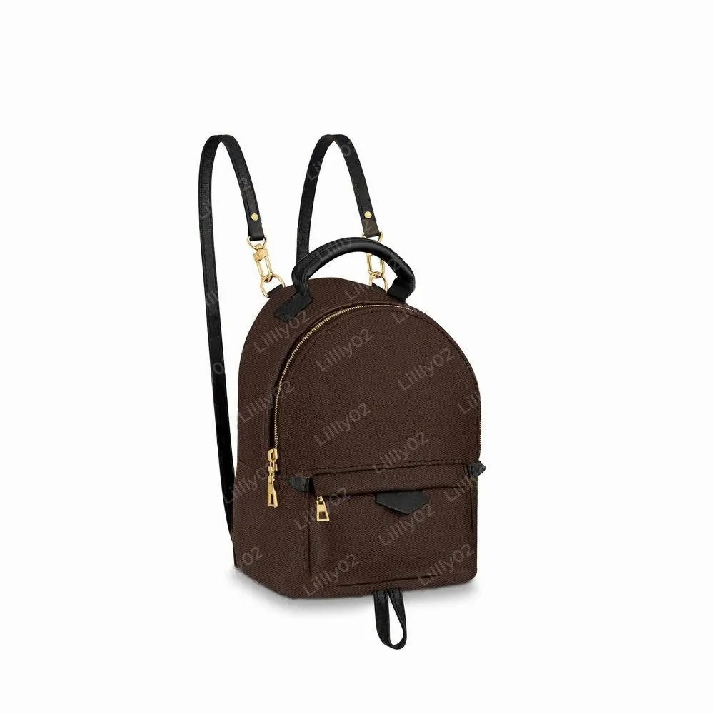 Louis vuitton mini palm springs backpack price hotsell