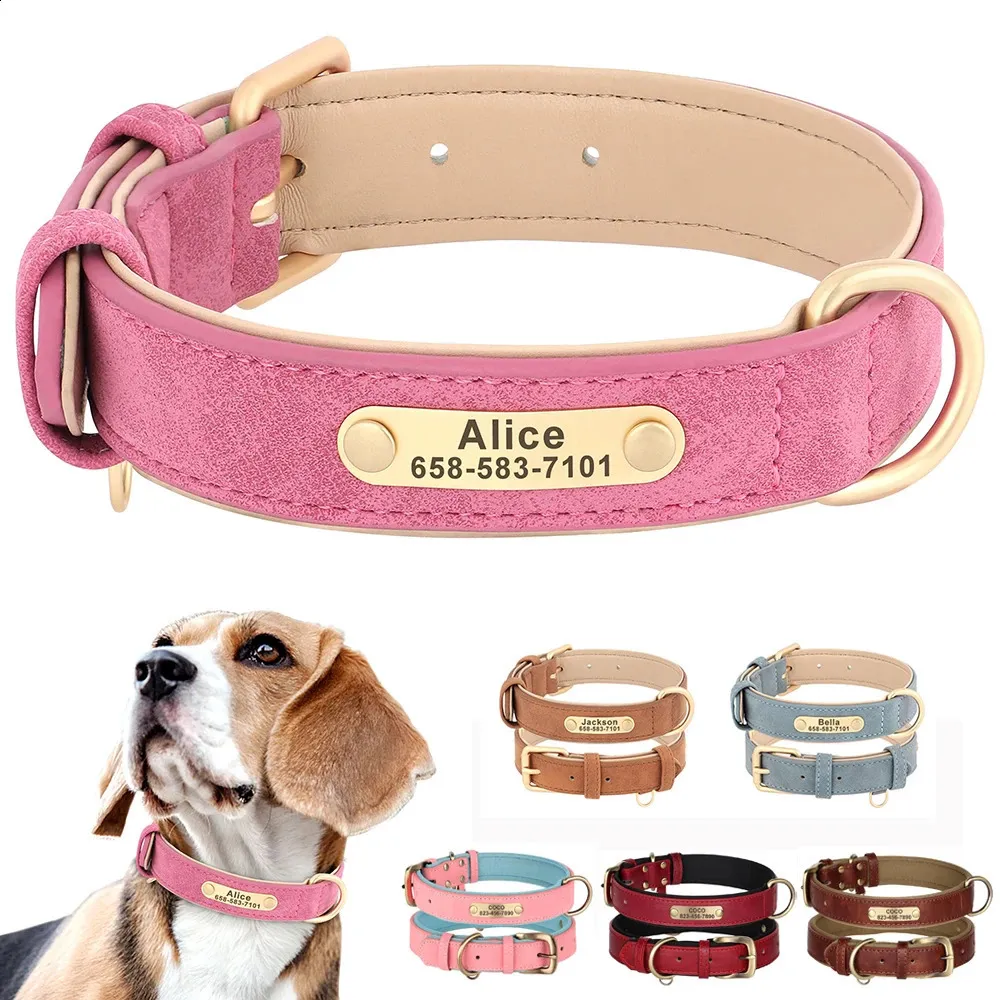 Leash Small Dog Collars With Name Plates Personalized Dog Collar - Main Image