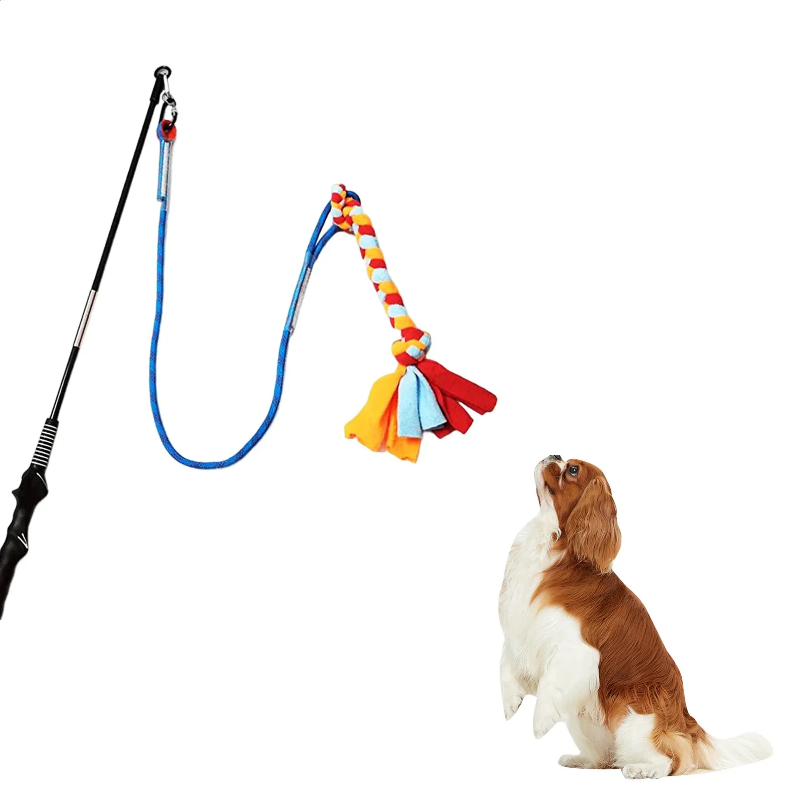 Herding Balls For Dogs Dog Toys That Move Extendable Flirt Pole