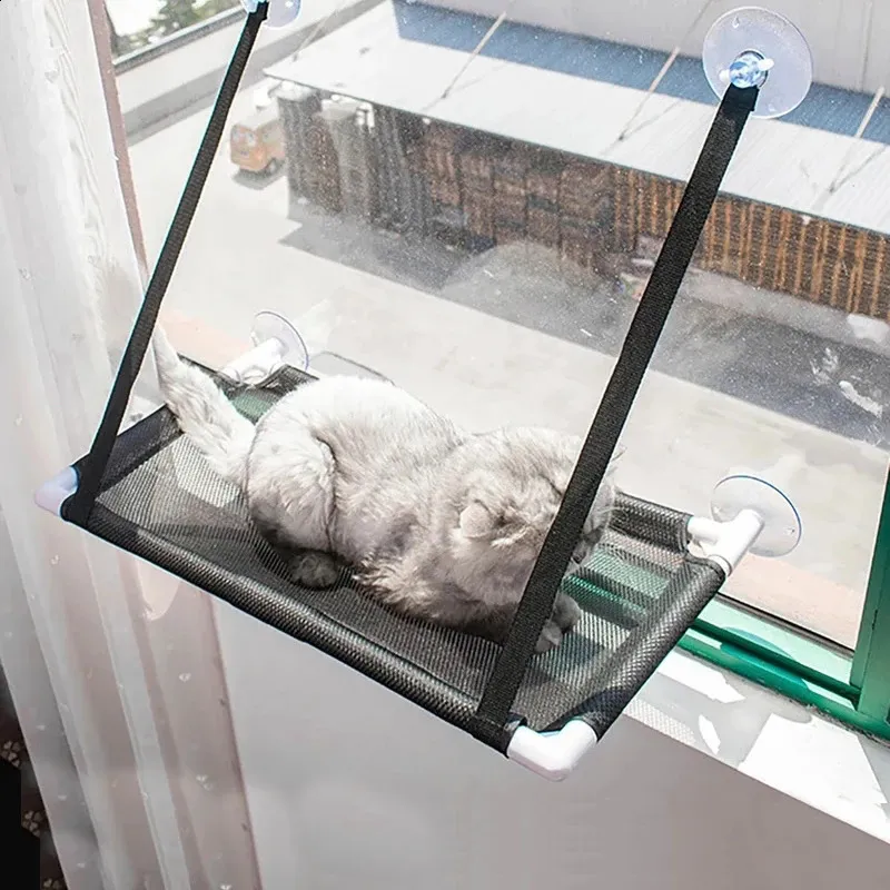 Cat window hammock petbarn 2025