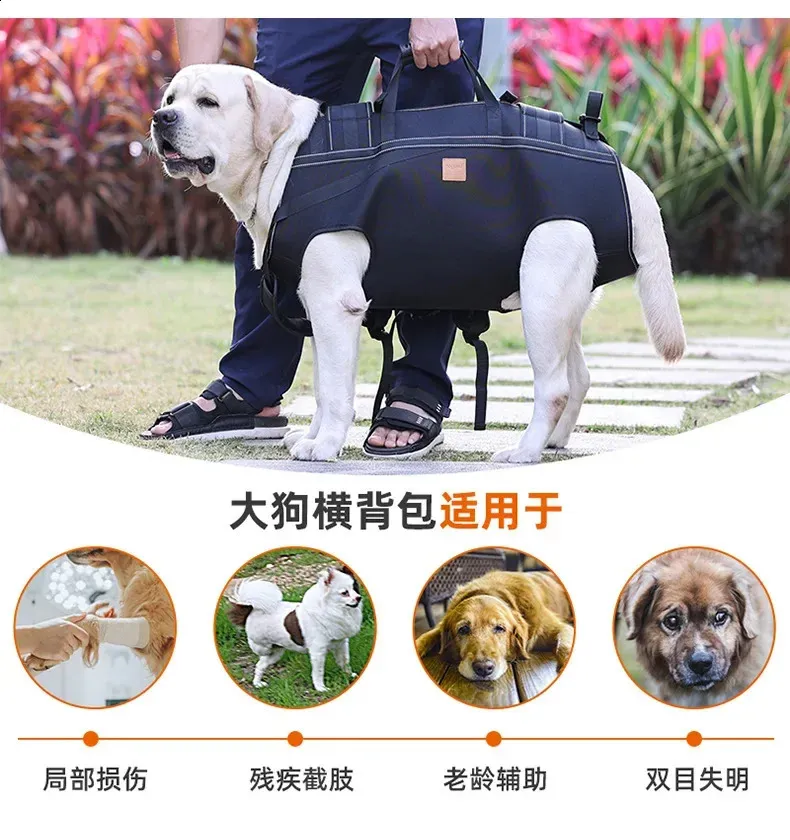 Large Dog Backpack Carrier For Hiking & Travel  display picture 2