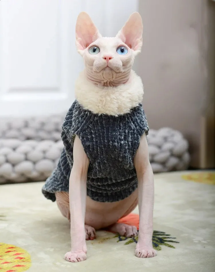 Dinosaur Sphynx Cat Sweater - Thick Polar Fleece Winter Outfit For Hairless Cats & Small Dogs (Grey, Large)