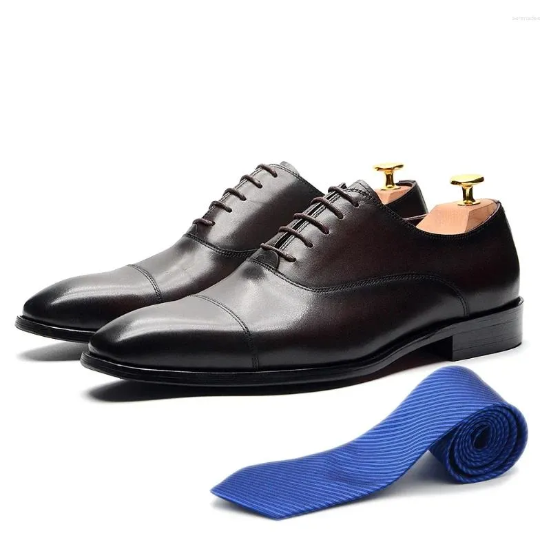 Men's Classic Leather Dress Shoes in Brown - Great Pick for the Office!  (Diogenes Style)