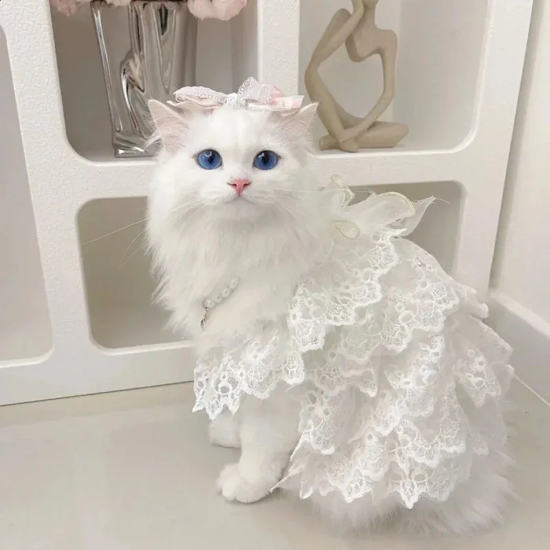 White Lace Hollow Out Princess Cat Dress Elegant Layered Pet