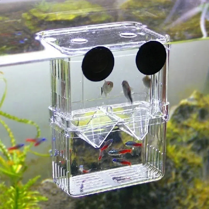 breeding box for fish tank J-star Large Breeder Aquarium Tank, Acrylic Box for Guppy/Betta/Shrimp/Clownfish, Baby Fish Hatchery & Isolation : Pet Supplies floating and suction cup design and double Senzeal Aquarium Fish Breeder Box