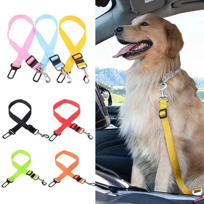Pet Sitter Yellow Ribbon On Dog Leash Meaning Yellow Ribbon On