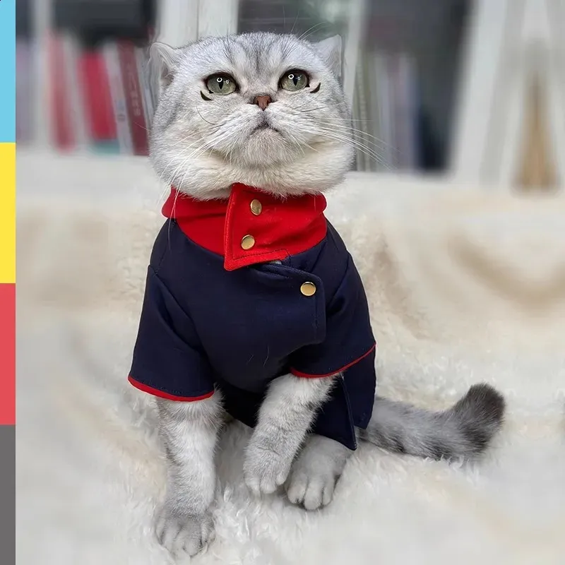 Pet hoodies for cats hotsell