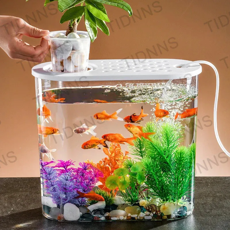 Oval fish tank hotsell