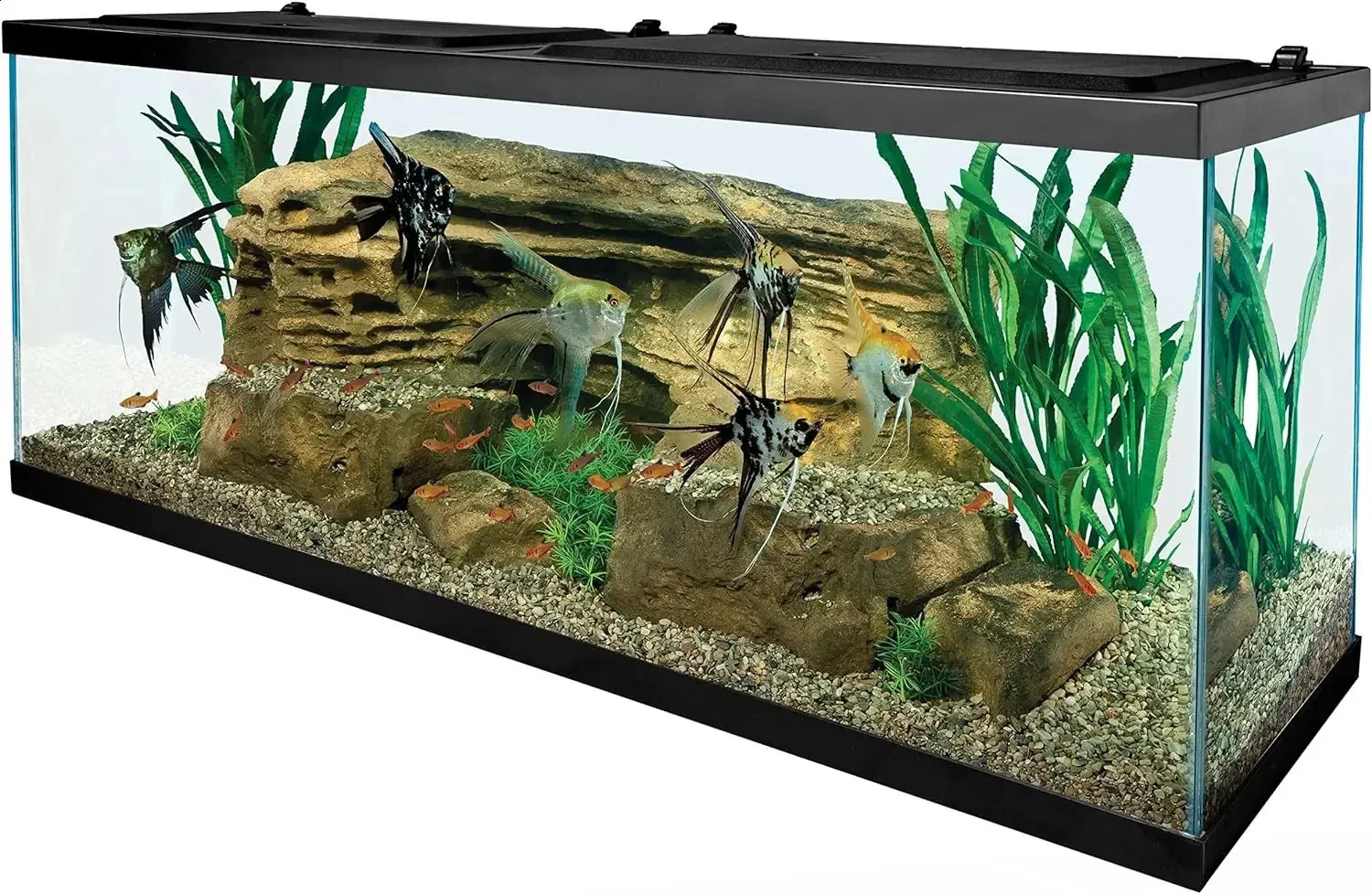Tetra Aquarium 20 Gallon Planted Aquarium Fish Kit With LED Lighting And Decor 240724 From Mengdastore 331.84 DHgate.Com