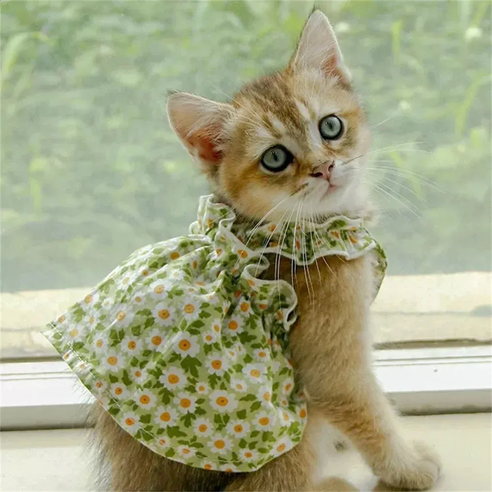 Save Big on Bulk Cat Dress Pet Summer Cotton Sphynx Cat Suspender Skirt  Love Flower Pet Princess Dresses For Cats Gotas Katten Kedi Dog Dress  Mascotas - Main Image