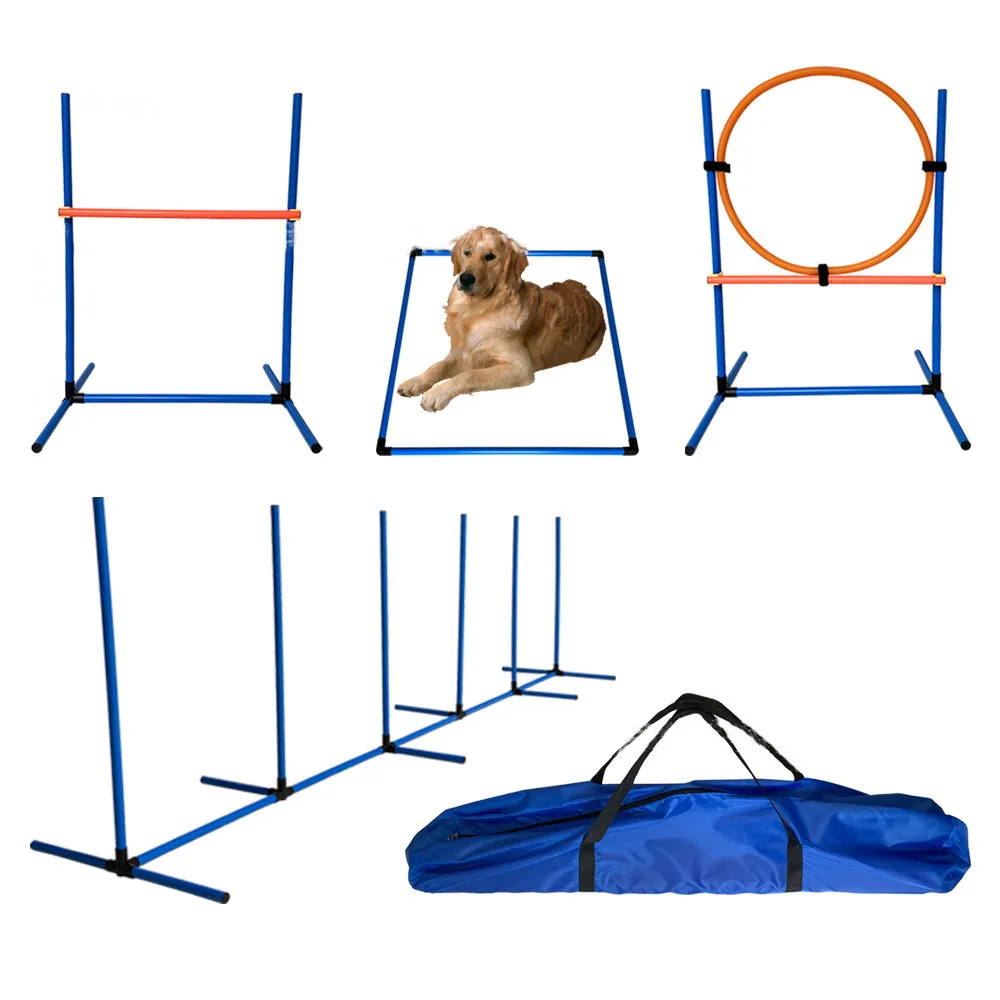 Dog Training Outside UK Dog Agility Equipment Tool Set Pet