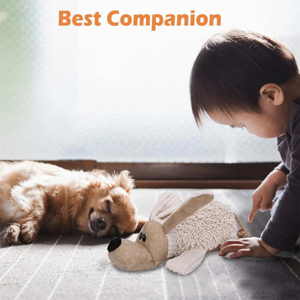 Squeaky Dog Toys, No Stuffing Crinkle Plush Water Bottle Toy 2 Pack Interactive Squawking Puppy Teething Pet Chew Toy Small Medium Large Dogs