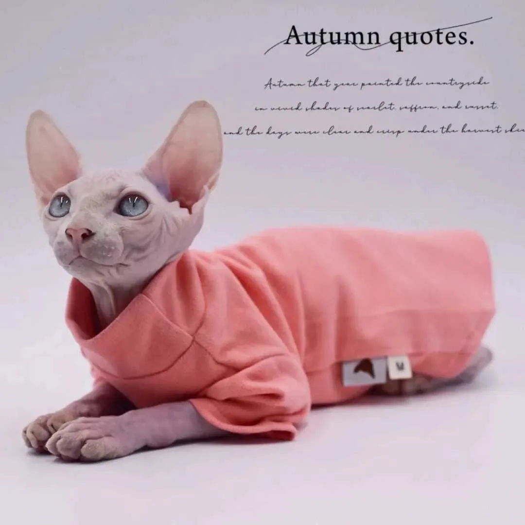 Sphynx Cat Gut Gurtleneck Vole De $19,09 | DHgate, image size:1080x1080