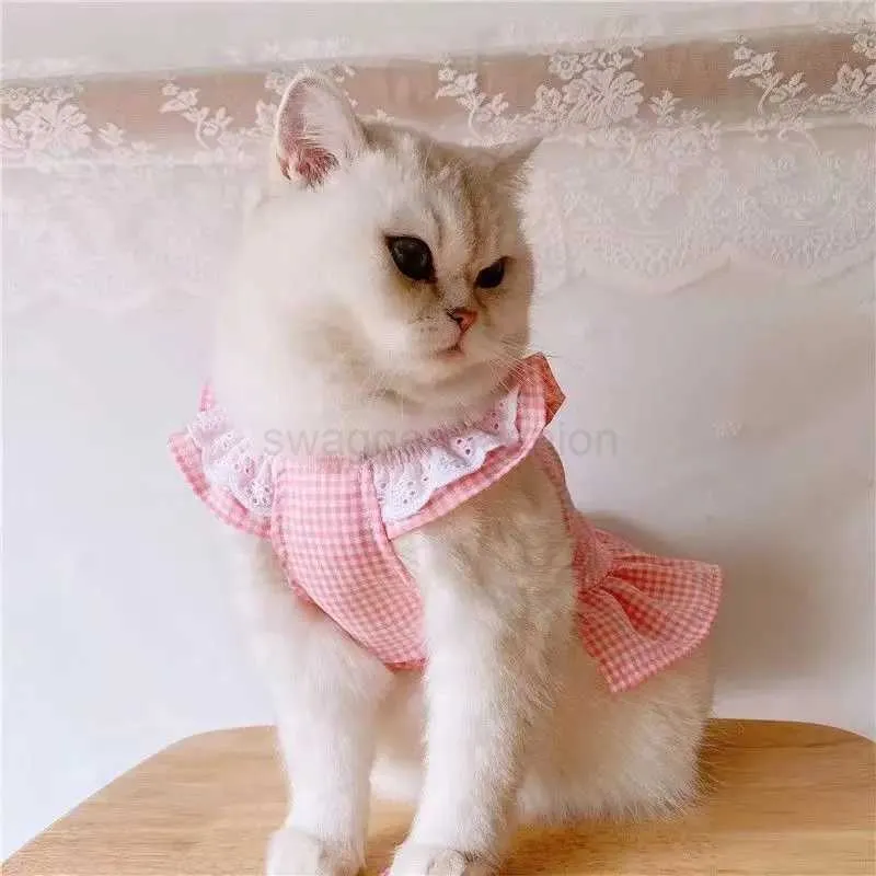 princess polly baby blue dress 34 Cat clothes ideas
